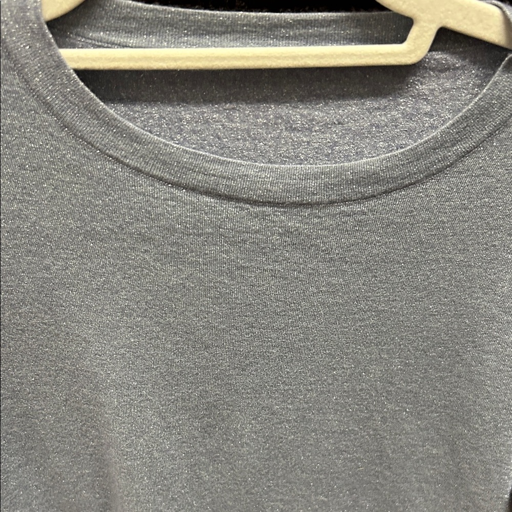 Brunello Cucinelli Shimmery Silver Knit Crew Neck Top